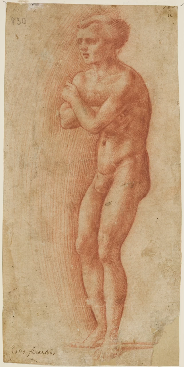 Fiorentino - nudo maschile, Museo di Capodimonte, Napoli
